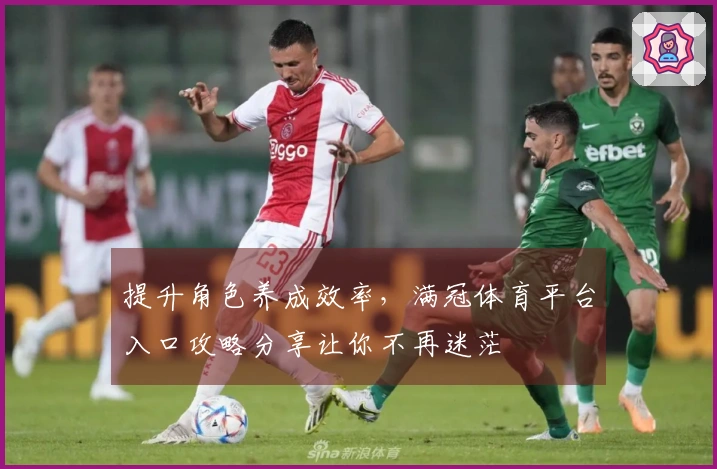 提升角色养成效率，满冠体育平台入口攻略分享让你不再迷茫