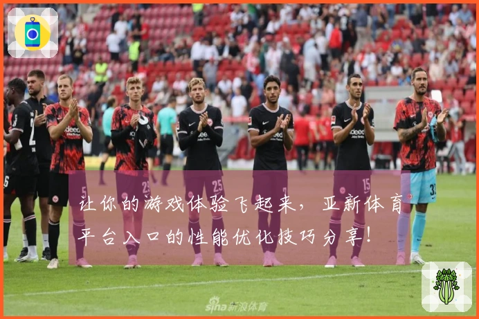 让你的游戏体验飞起来，亚新体育平台入口的性能优化技巧分享！