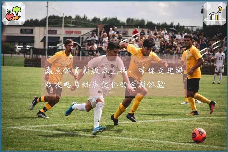 赢点体育新版本上线，带你走进游戏攻略与玩法优化的全新体验