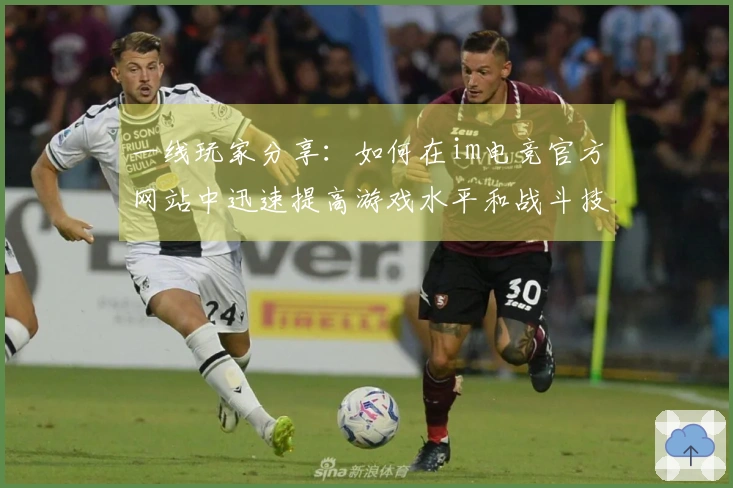 一线玩家分享：如何在im电竞官方网站中迅速提高游戏水平和战斗技巧